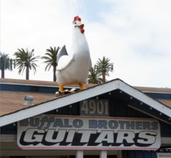 Buffalo Brothers' iconic chicken