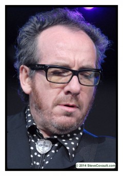 Elvis Costello. Photo by Steve Covault.