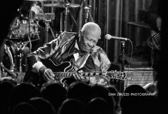 B.B. King. Photo by Dan Chusid.