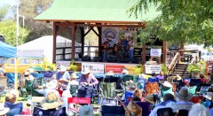 Summergrass main stage. Photo by Dennis Andersen.